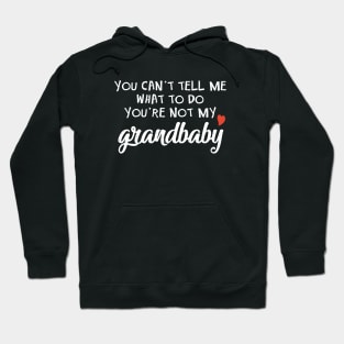 You Cant Tell Me What To Do You Are Not My Grandbaby Daughter Hoodie